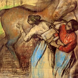 Two women washing horses